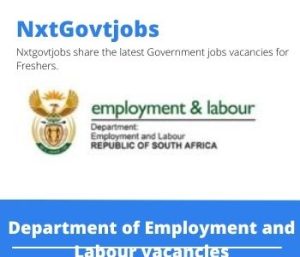 Department of Employment And Labour Registration Services Officer Vacancies 2022 Apply Online at @labour.gov.za
