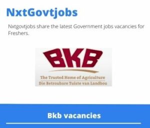BKB Assistant Storeman Vacancies in Frankfort 2023