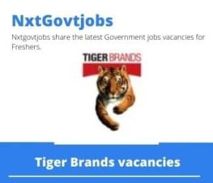 Tiger Brands Electrician Vacancies in Welkom- Deadline 11 May 2023